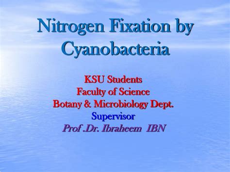 Ppt Nitrogen Fixation By Cyanobacteria Powerpoint Presentation Free