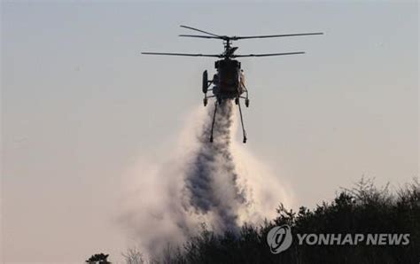 동해안산불방지센터 봄철 대형산불 방지 행정력 총동원 네이트 뉴스