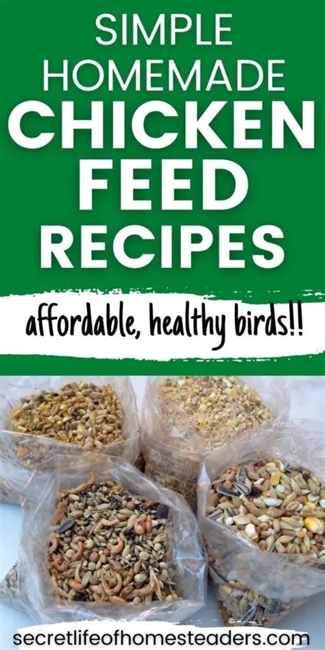 Simple Homemade Chicken Feed Recipes : Secret Life of Homesteaders