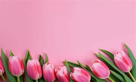 Premium Photo | Pink tulips on a pink background