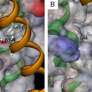Structure of gp41 at the region near position 138 in the C-HR. A ...