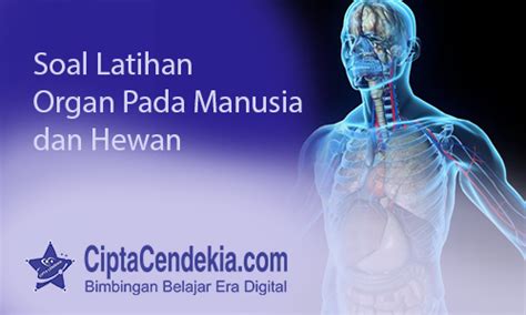 Latihan Soal Organ Tubuh Manusia dan Hewan - ciptacendekia.com