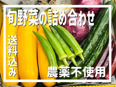 採りたて新鮮野菜 ٩๑˃̶͈̀ ᗨ ˂̶͈́۶ 旬野菜の詰め合わせ 野菜セット メルカリ