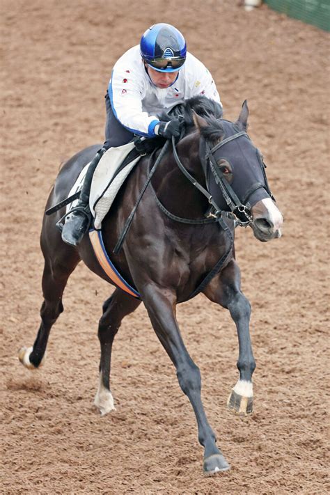 【岩田康誠の熱血！！競馬道】復調ビーアストニッシド一変だ チャレンジc Umatoku 馬トク