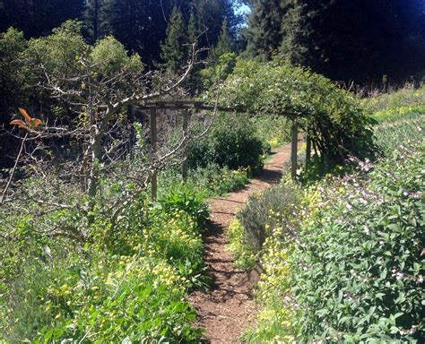 Permaculture 101: What is a Forest Garden?