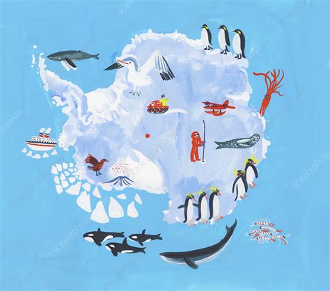 Map Of Antarctica Countries