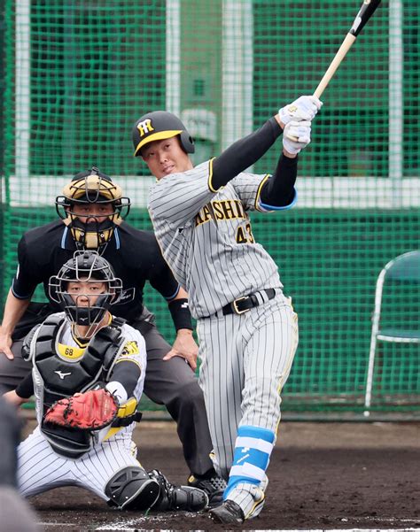 【阪神】高浜祐仁が内野手から外野手に登録変更 プロ野球写真ニュース 日刊スポーツ