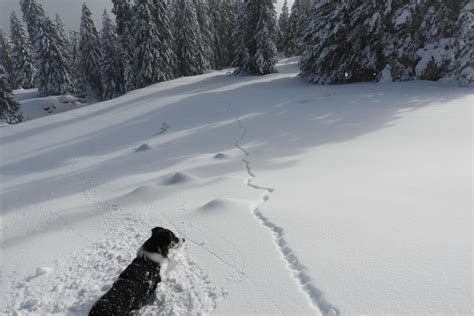 Dann Wieder Bei Sonnenschein Fotos Hikr Org