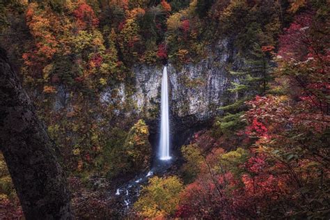 30 Of The Best Nature Photos From The Tokyo International Foto Awards ...