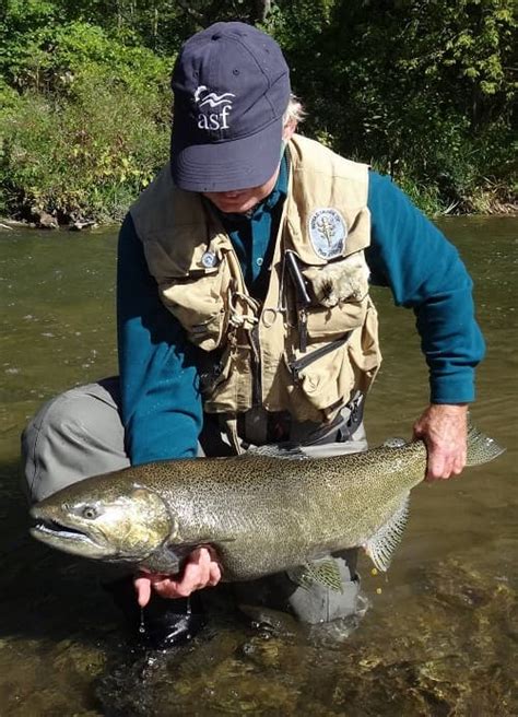 Great Lakes Salmon Fishing River Fishing Tactics Of Guides