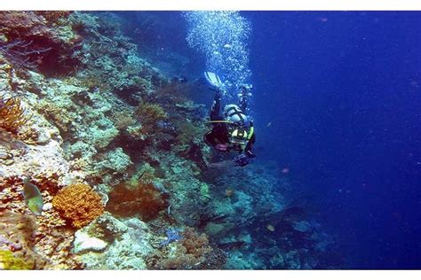 2023 Tulamben Diving USS Liberty Shipwreck Scuba Dive