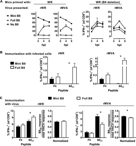 Presentation To And Priming Of Cd T Cells By B Expressed In