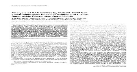 Analysis Of Yac Clones By Pulsed Field Gel Electrophoresis Physical