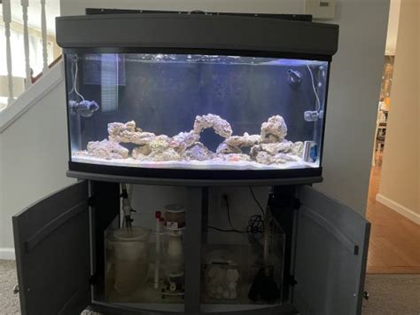 Build Thread 72 Gallon BowFront REEF2REEF Saltwater And Reef