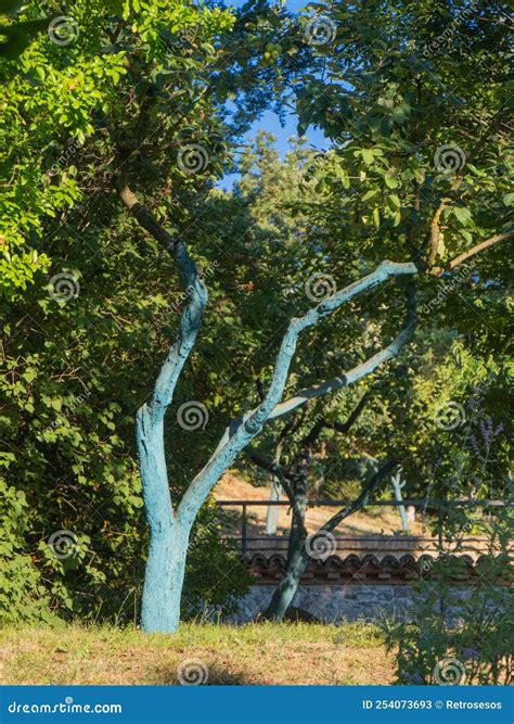 Greenc Copper On Organic Fruit Trees In The Farm In Piacenza Italy