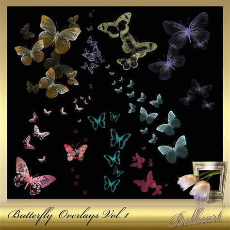 10 Butterfly Overlays Vol 1 Butterflies Clip Photoshop Etsy