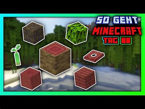 ALLES Zum Mangroven Sumpf In Minecraft Sumpf Finden Holz Farmen