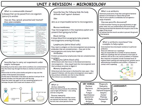 Gcse Biology Completed Health And Disease Revision Mat Knowledge