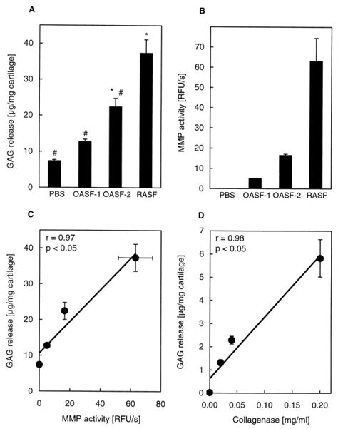 Matrix Metalloproteinase MMP Mediated Cartilage Degradation Bovine