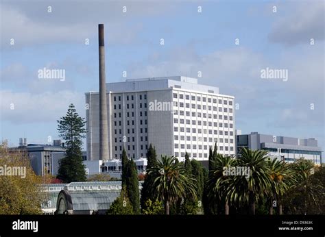 Auckland City Hospital, Auckland city, New Zealand Stock Photo, Royalty ...