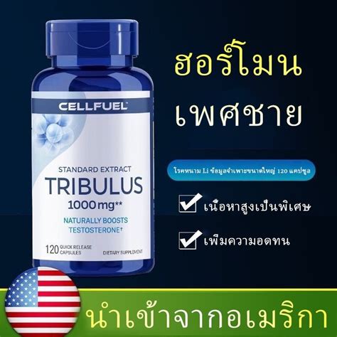 Tribulus Terrestris Boost Capsules 120 เมด แคปซลเพมฮอรโมนเพศชาย