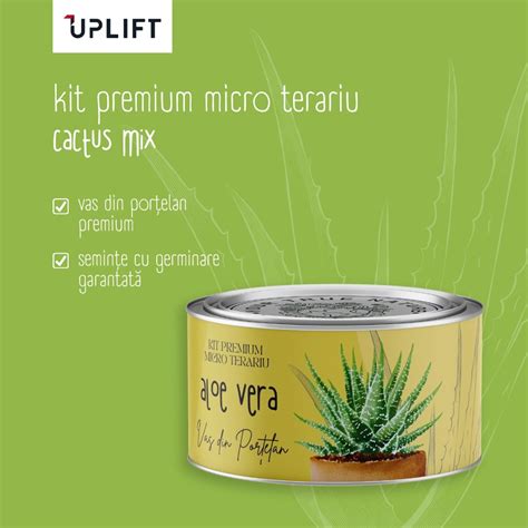 Kit De Plantare Uplift Micro Terariu Cu Seminte De Aloe Vera EMAG Ro