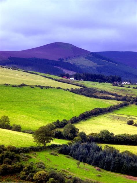 Beautiful fields of Ireland - 40 Shades of Green | Ireland landscape ...