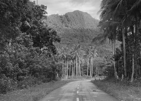 No one ever warned me — - Billy Ferdinandus - Medium