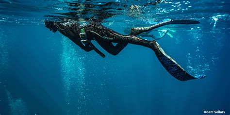 Padi Freediving Courses Sunreef