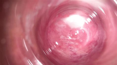 Internal Camera Deep Inside Mia S Creamy Pussy Welcome To My Vagina Xhamster