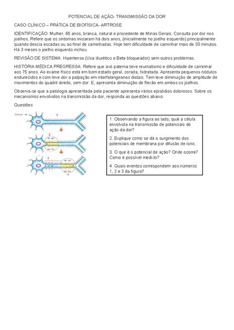 Potencial De Acao 6