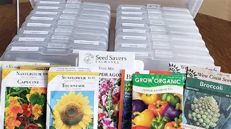 Seed Storage Containers Best Ways To Keep Organized