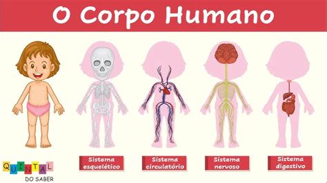 Corpo Humano Desenho Infantil - Partes Do Corpo Humano Desenho