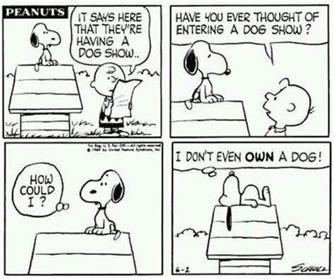 10 Funniest Peanuts Comics Starring Snoopy