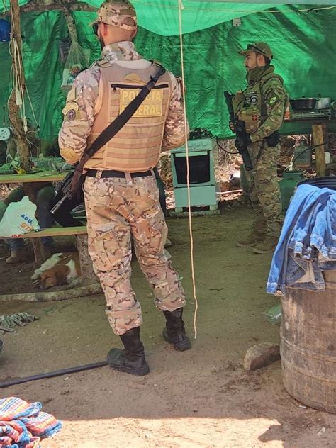 Na Segunda Opera O Do Dia Pf Mira Garimpo Ilegal De Ouro Na Reserva