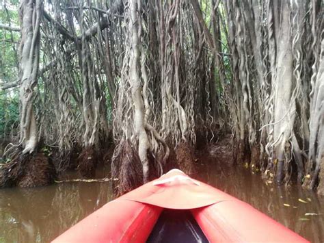 Khao Lak Sri Phang Nga Kanu Tour Tam Nang Wasserfall Tour Getyourguide