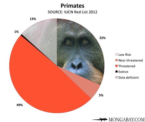 CHART: endangered primates