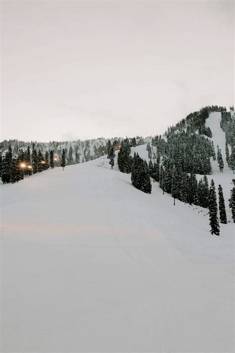 Best Skiing Near Seattle | Insider's Guide on Top 7 Resorts - Mindful