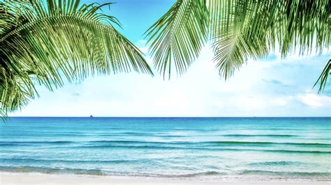 Caribbean Beach Zoom Virtual Background Video Template Postermywall Images