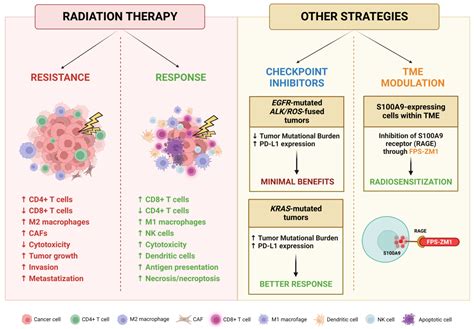 Cancers Free Full Text Modern Stereotactic Radiotherapy For Brain