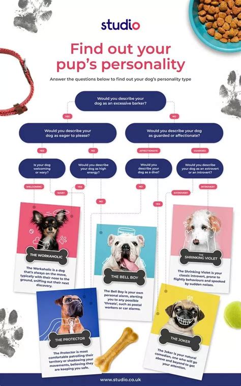 The dog personality test which reveals exactly how your pet behaves and ...