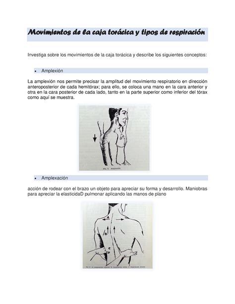 Movimientos De La Caja Tor Cica Y Tipos De Respiraci N Movimientos De