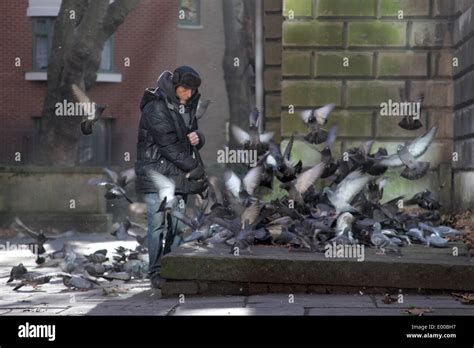 A man feeding pigeons in London City centre Stock Photo - Alamy