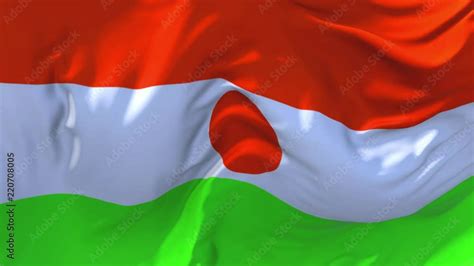 Niger Flag Waving In Wind Slow Motion Animation K Realistic