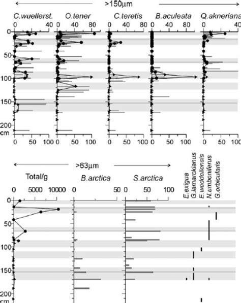 Benthic Foraminiferal Distribution In NP26 Cores See Fig 2 For