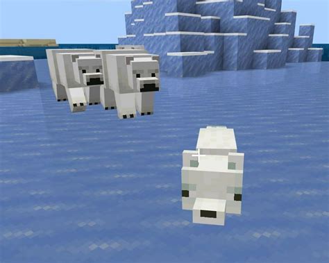 How to tame a Polar Bear in Minecraft: Find & Tame Polar Bear!