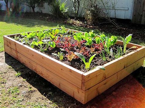 Vegetable Garden Diy Hawk Haven