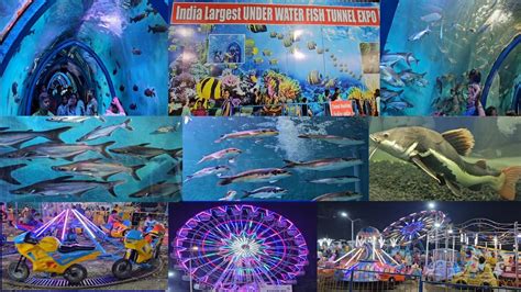 Underwater Fish Tunnel Mela Borivali West Mumbai Youtube