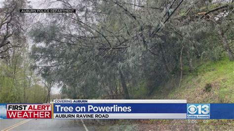 Tree Falls On Powerlines In Auburn Youtube