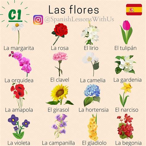 Spanish Lessons With Us On Instagram Nivel C1 Las Flores